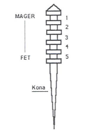 trottelnal.jpg (15989 bytes)